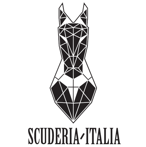 Winner small image - Scuderia Italia Srl